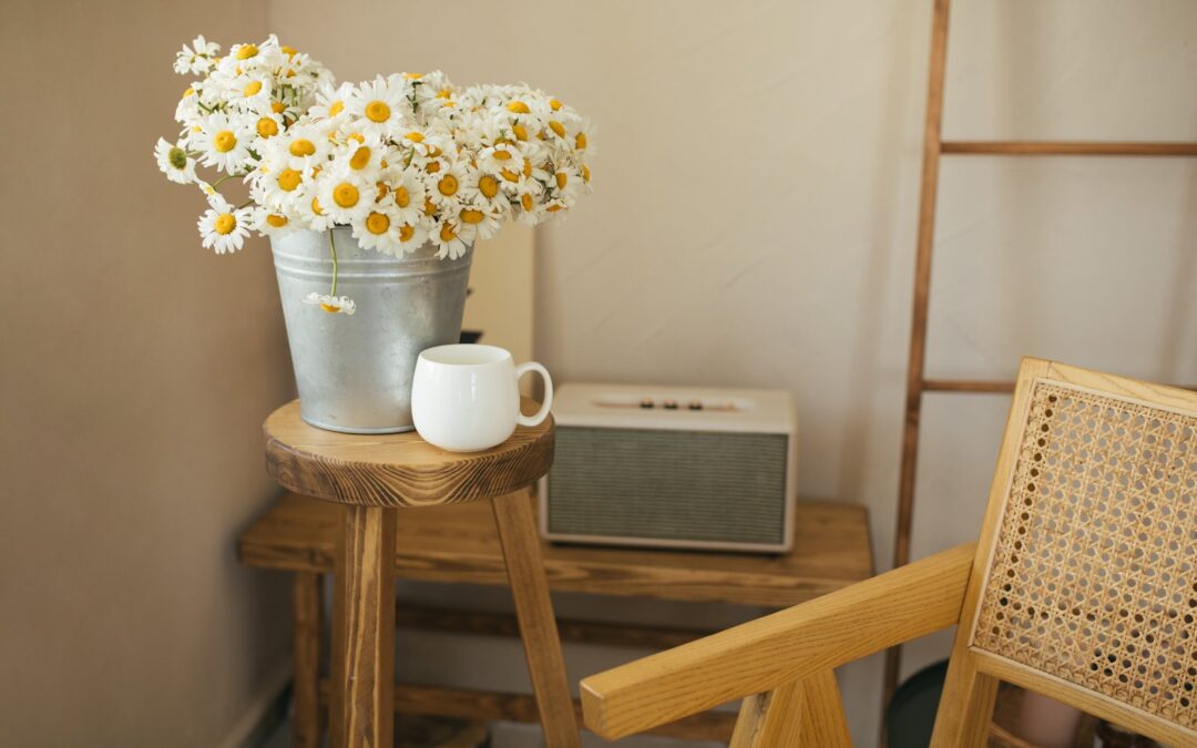 Które Rośliny Doniczkowe Najlepiej Pasują do Twojego Mieszkania?