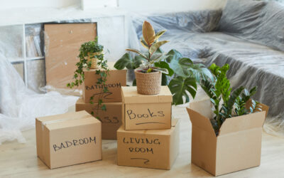 Pakowanie z głową – jak zabezpieczyć rośliny, szkło i elektronikę w trakcie przeprowadzki?